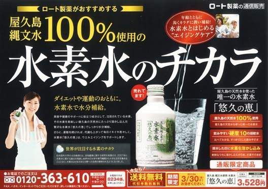 2012年3月折り込みチラシ10