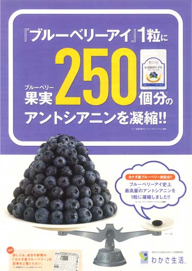 2013年1月折り込みチラシ